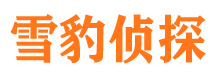 德令哈市调查公司